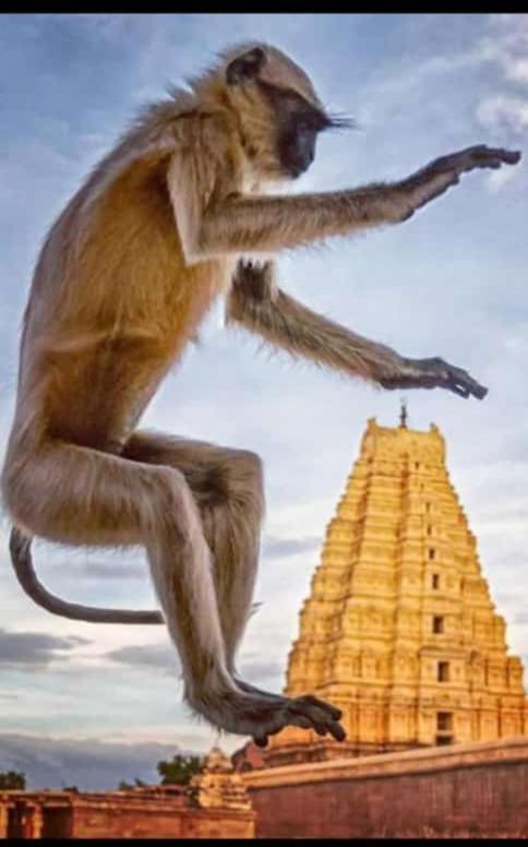 Mamatha Guest Inn Hampi Exteriér fotografie